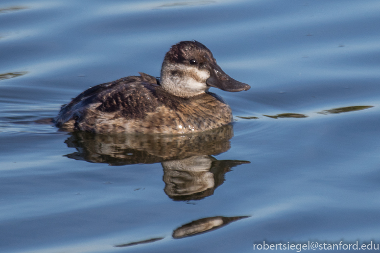 baylands